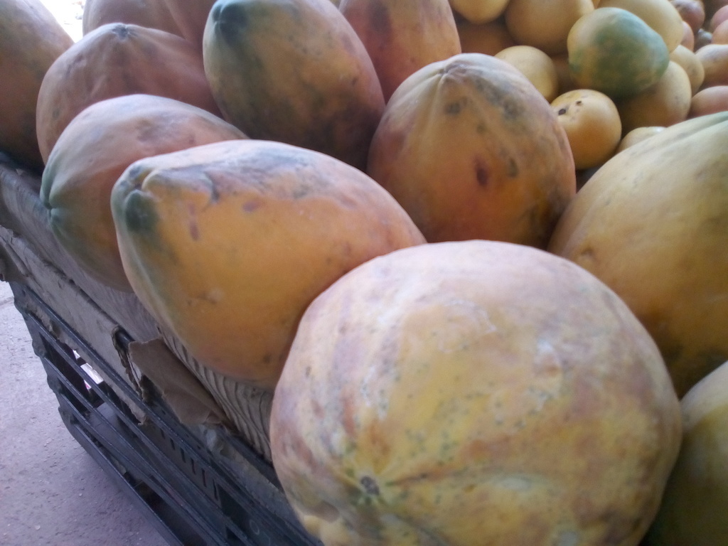 Papaya
