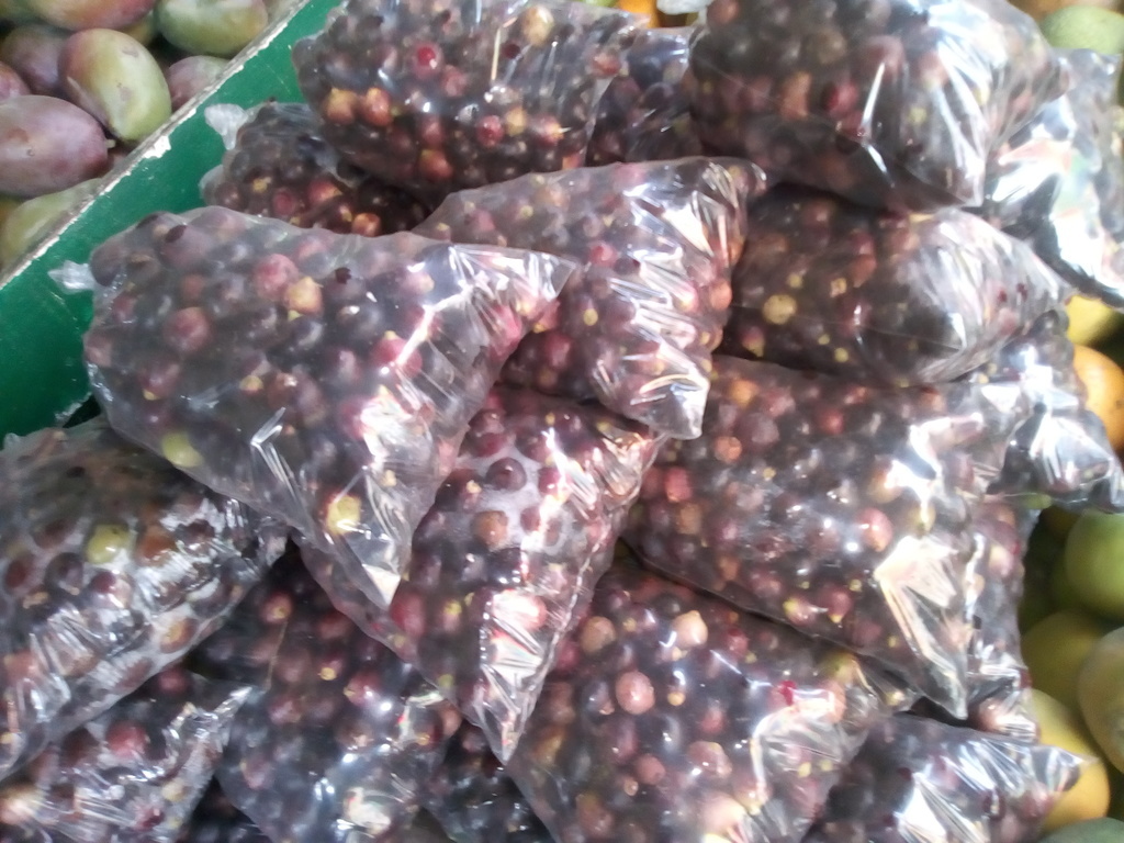 Corozo x 500 gr