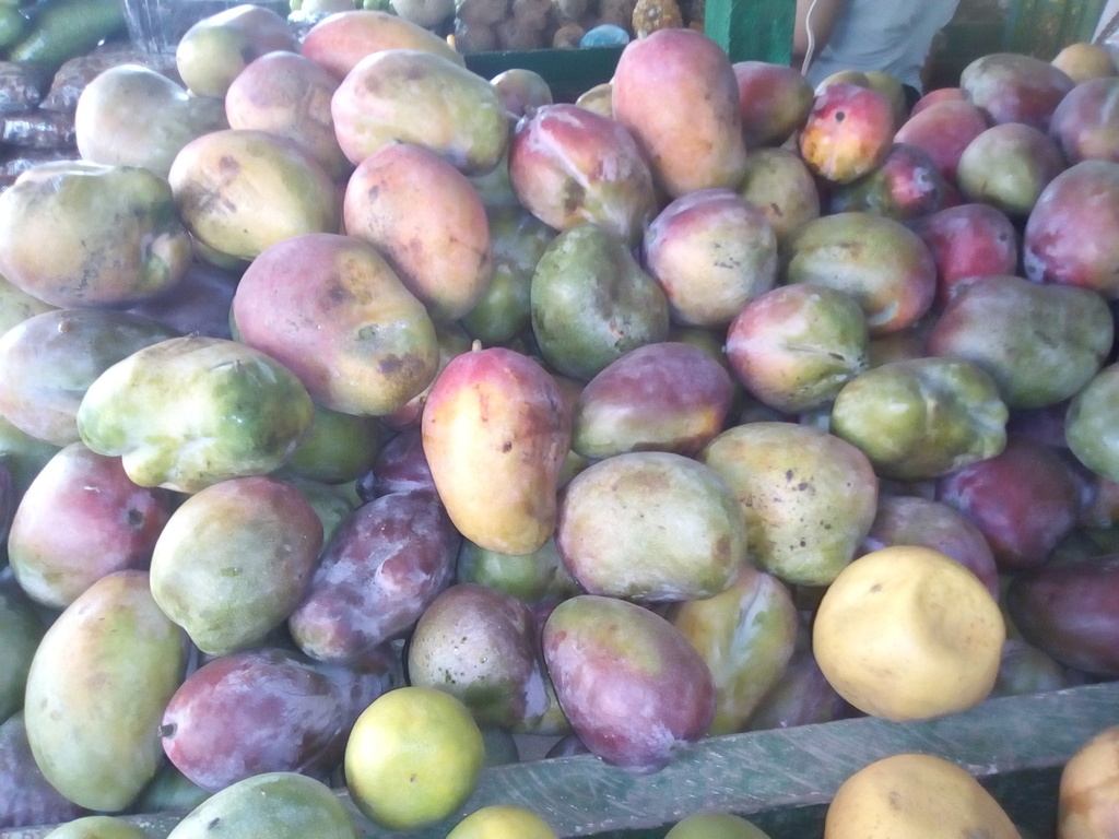 Mango