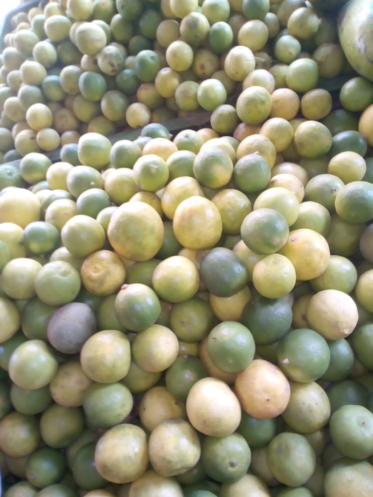 Naranja dulce pareja
