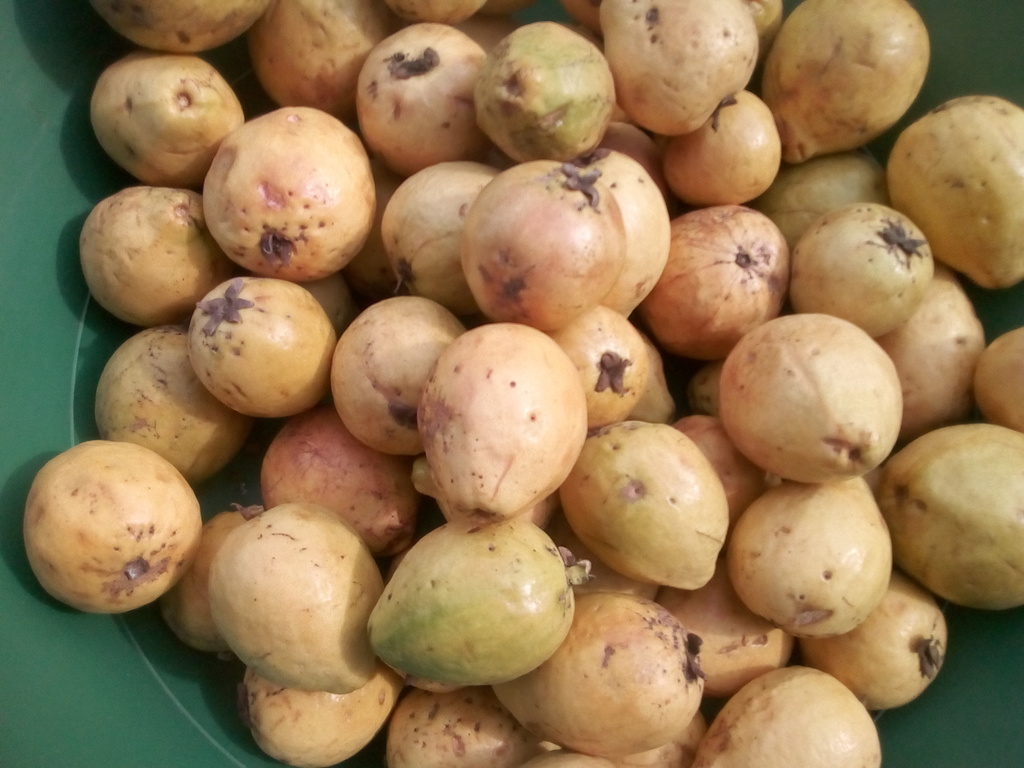 Guayaba dulce