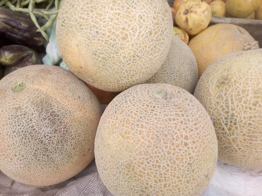 Melón