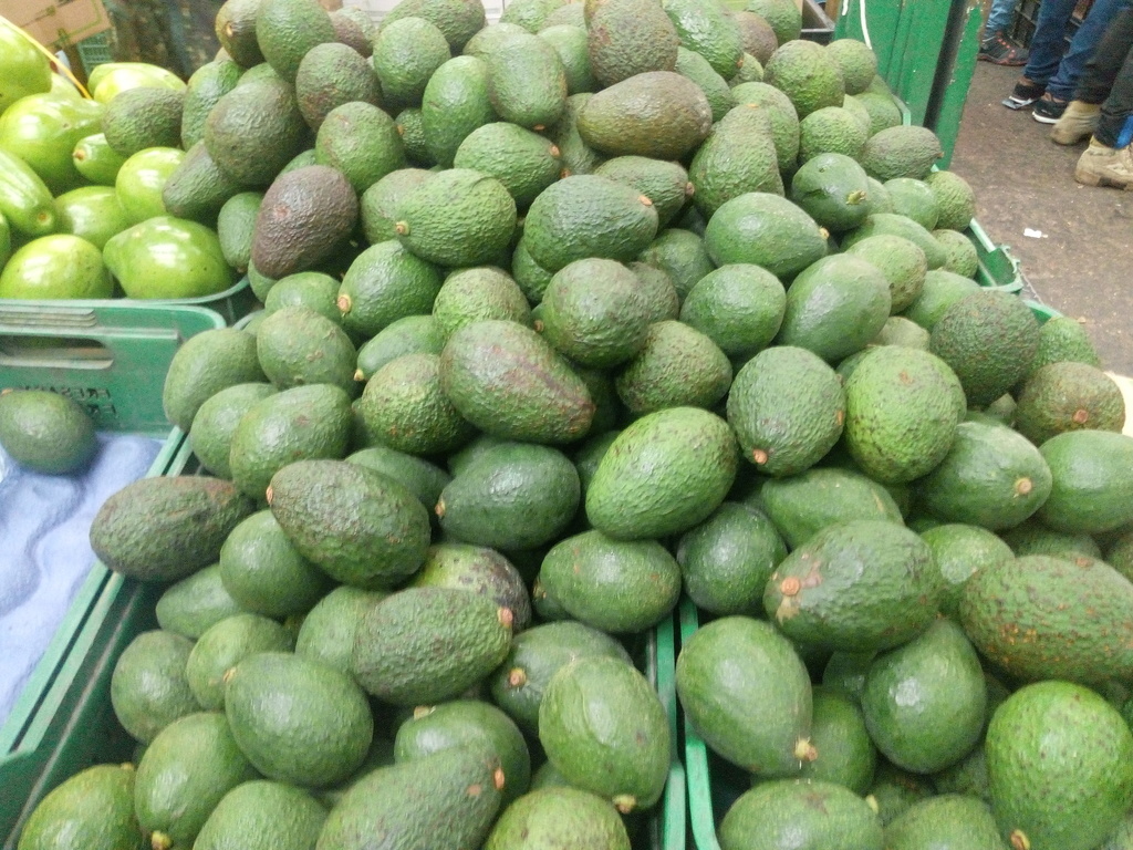 Aguacate