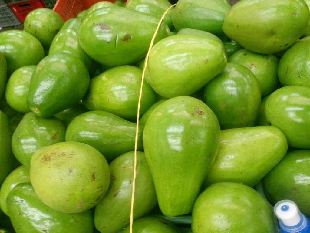 Aguacate papelillo