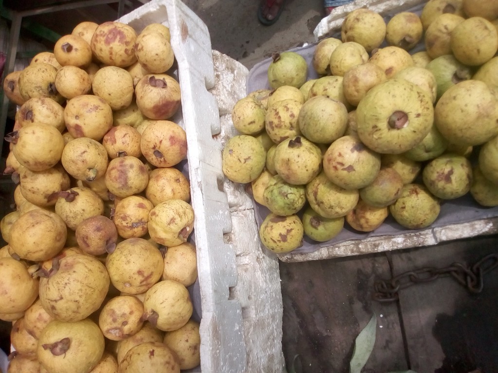 Guayaba agria