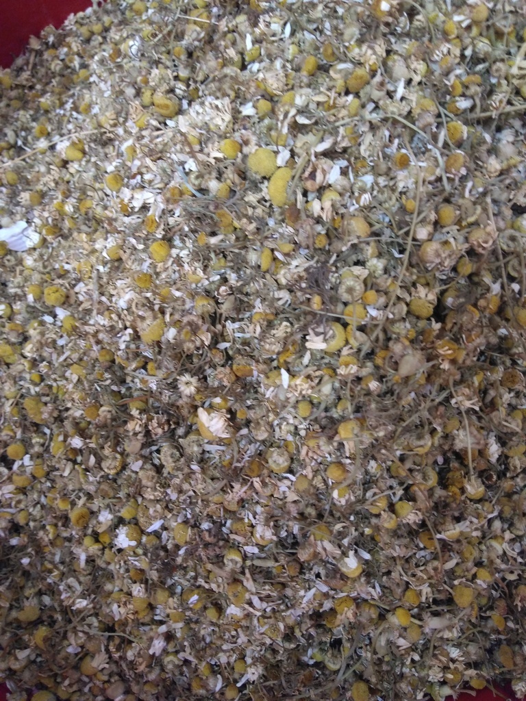 Manzanilla