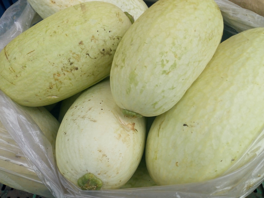 Calabaza