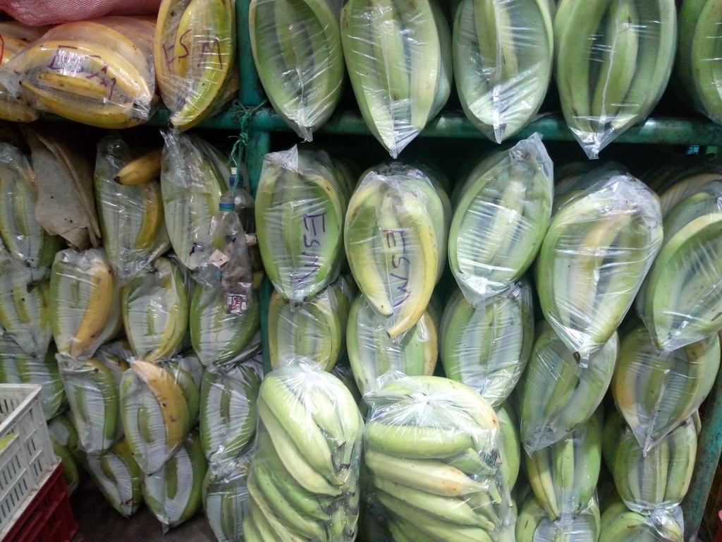 Plátano