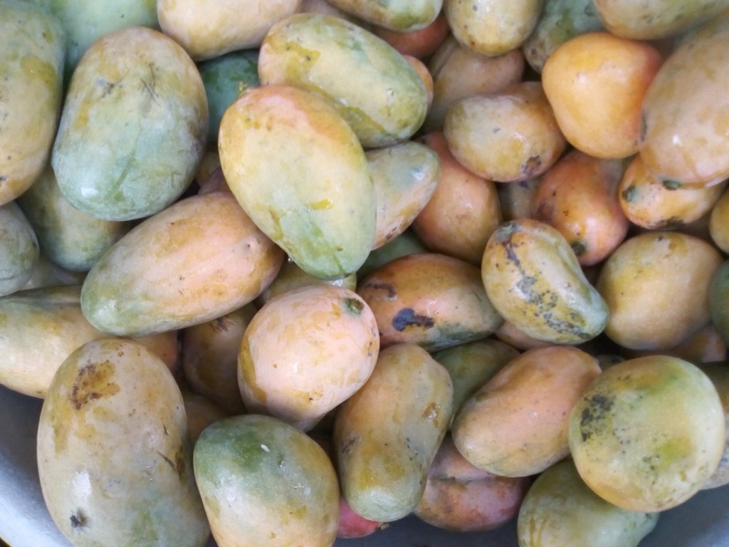 Mango bocado
