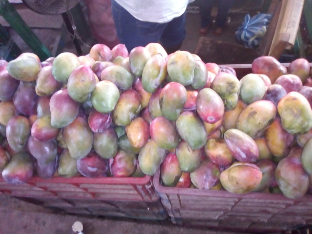 Mango