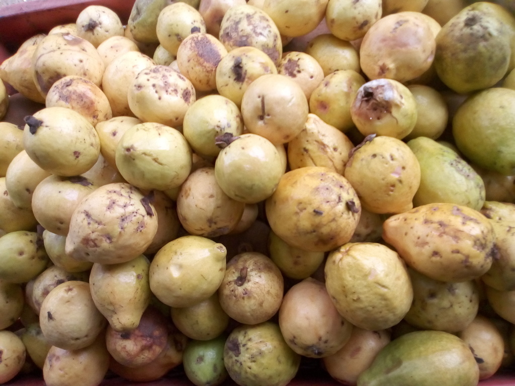 Guayaba dulce