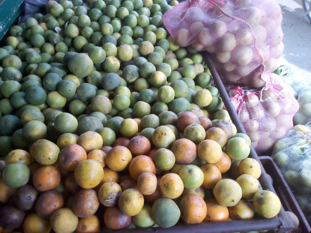 Naranja dulce pareja