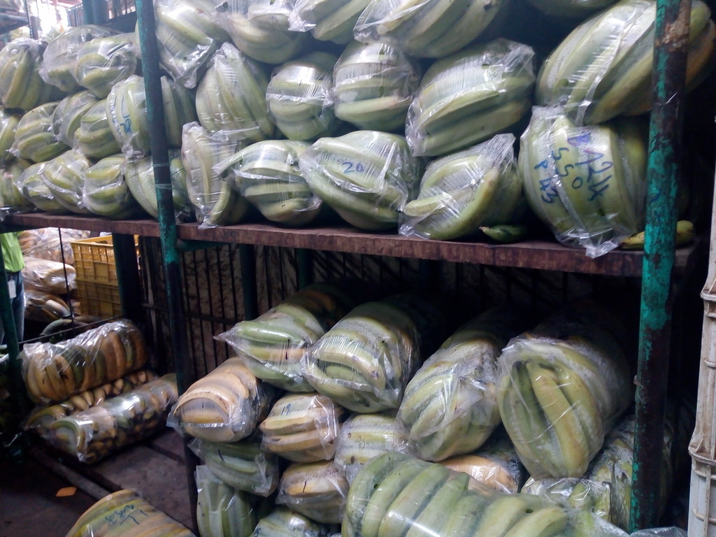 Plátano extra