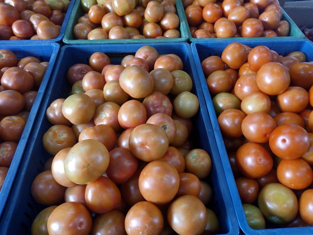 Tomate extra