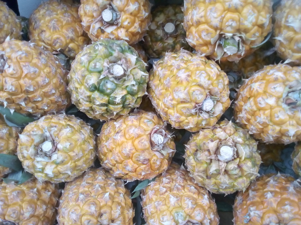 Piña