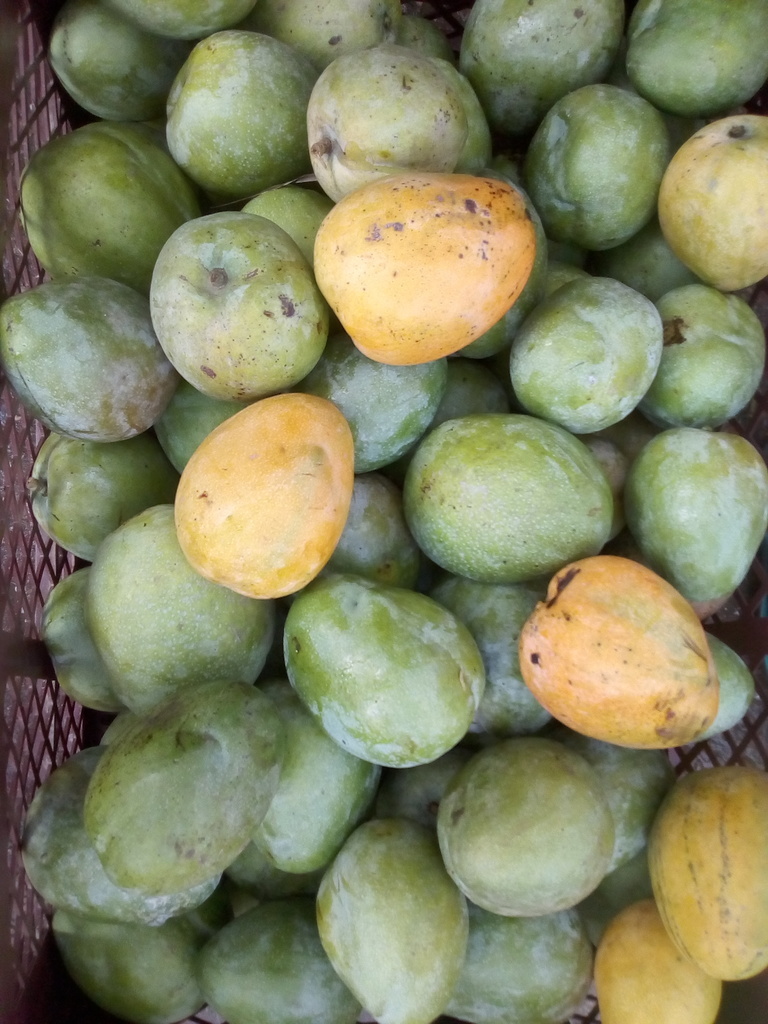 Mango