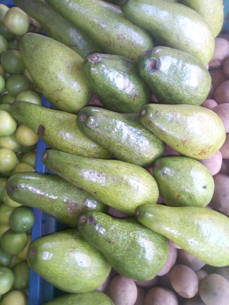 Aguacate