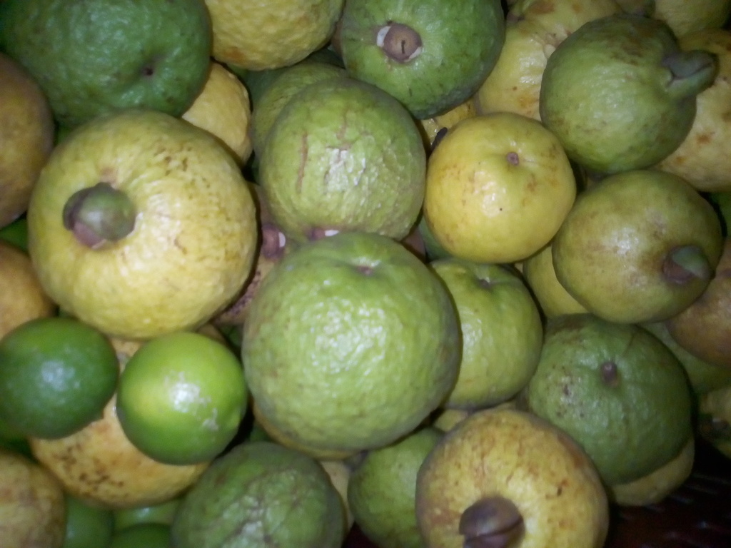 Guayaba agria