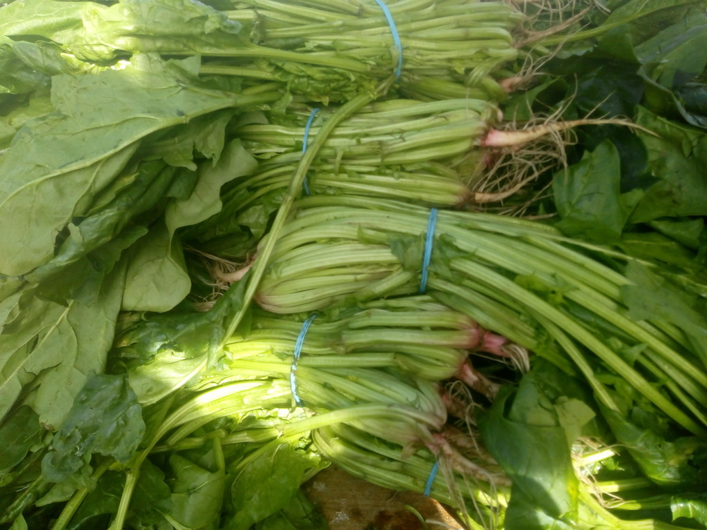 Espinaca