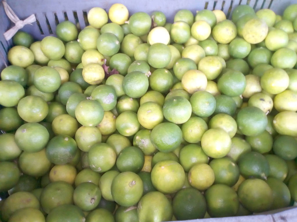 Limón