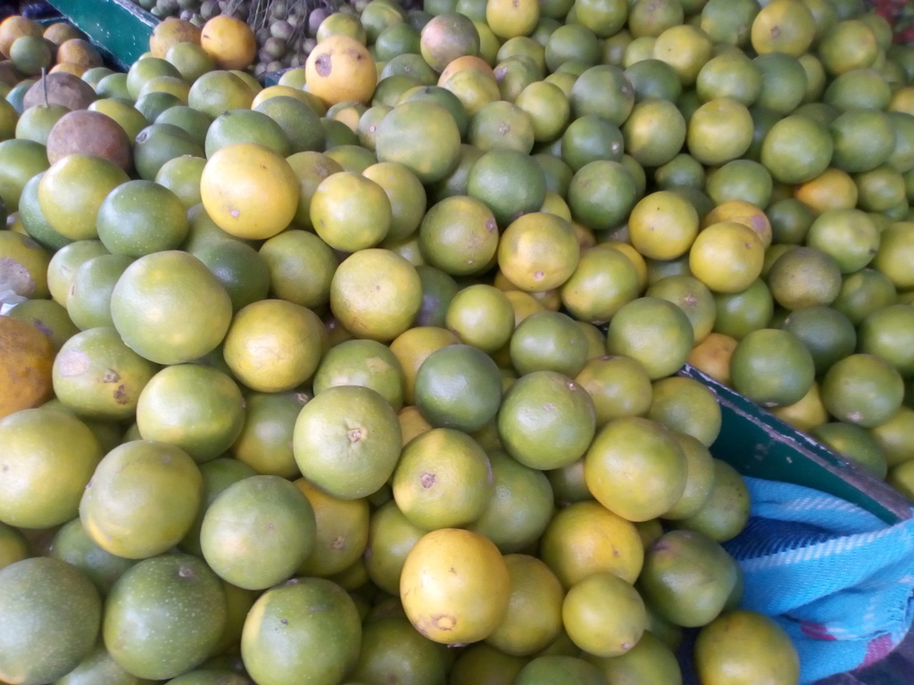 Naranja dulce pareja