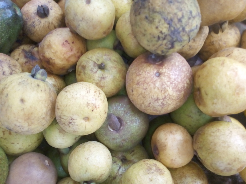 Guayaba agria