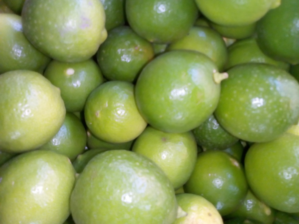 Limón