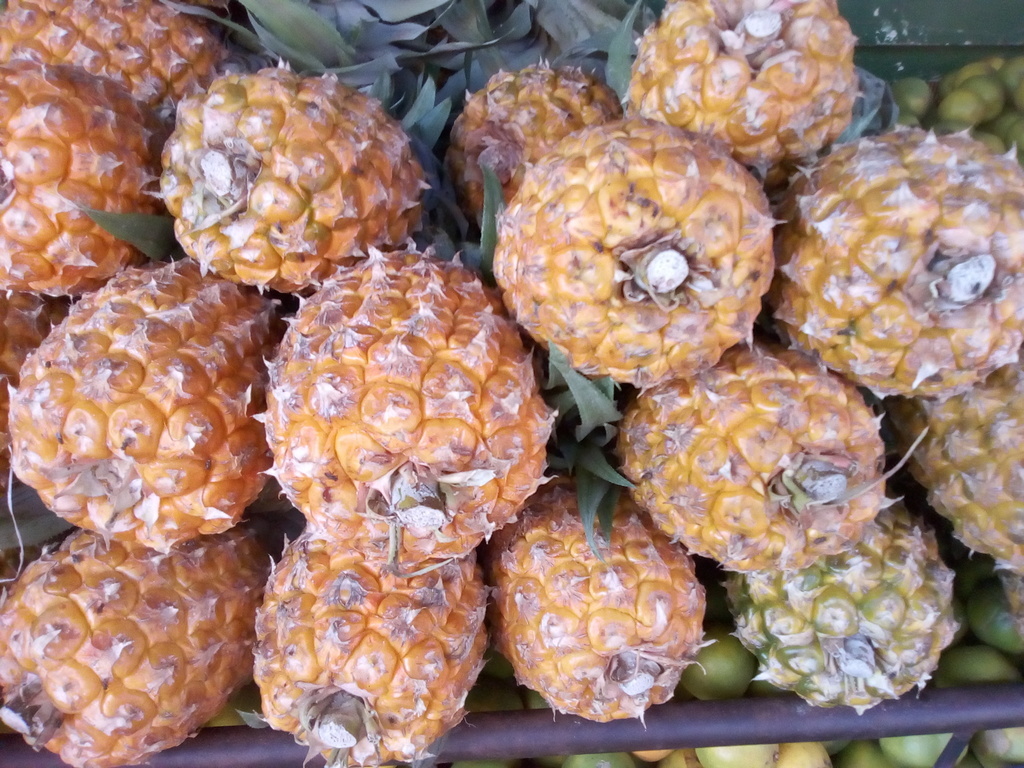 Piña
