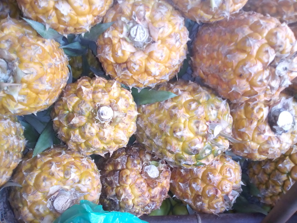 Piña