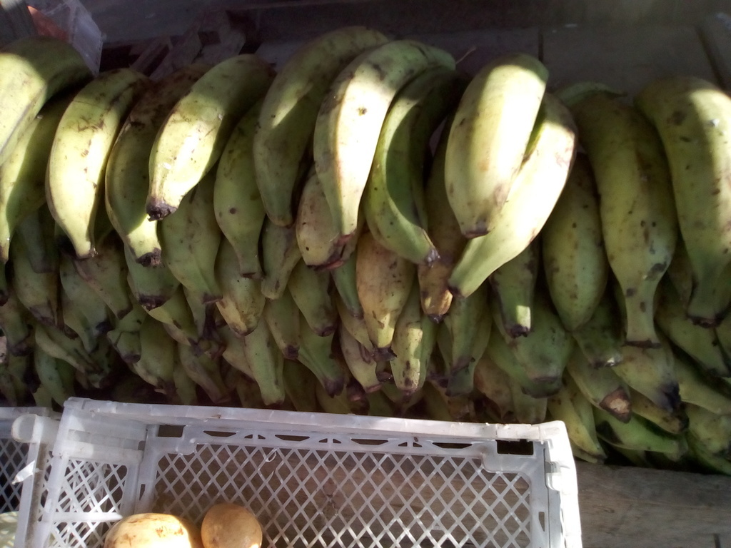 Plátano