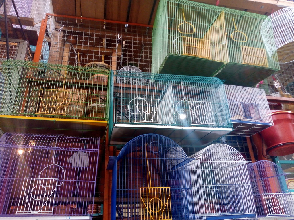 Jaula para aves