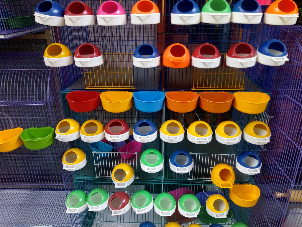 Comederos para aves
