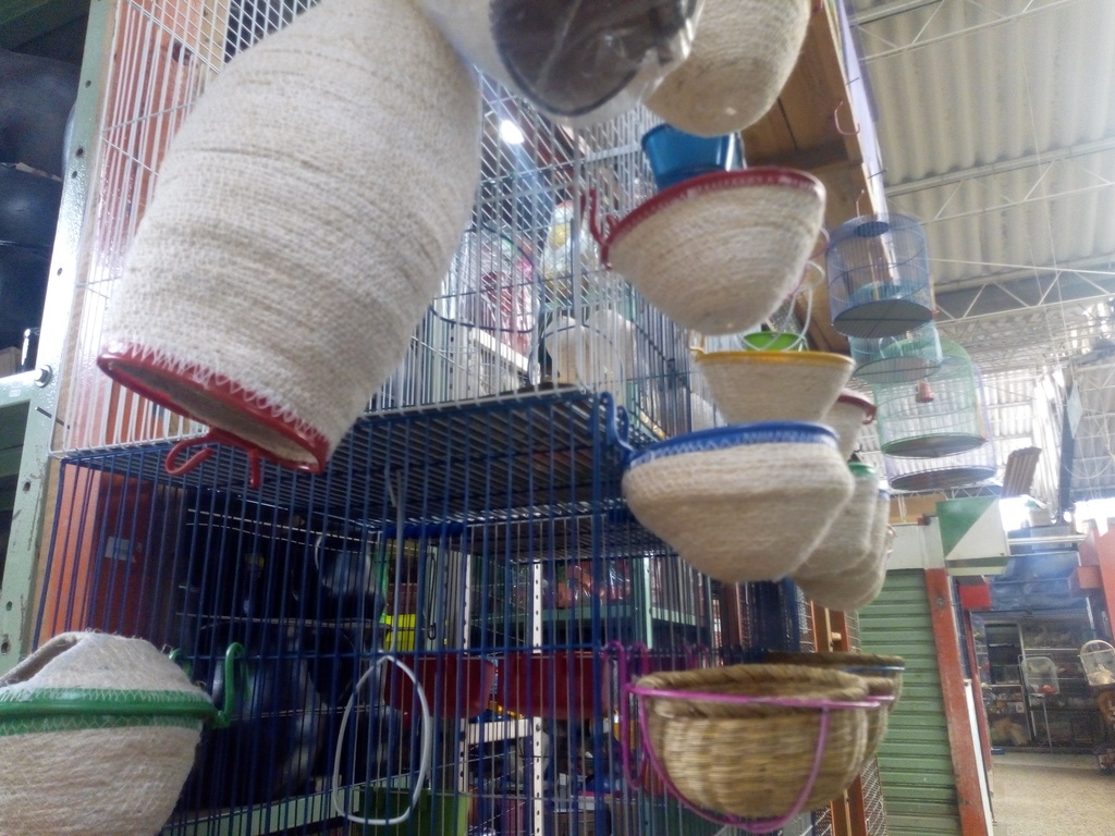 Nidos para aves