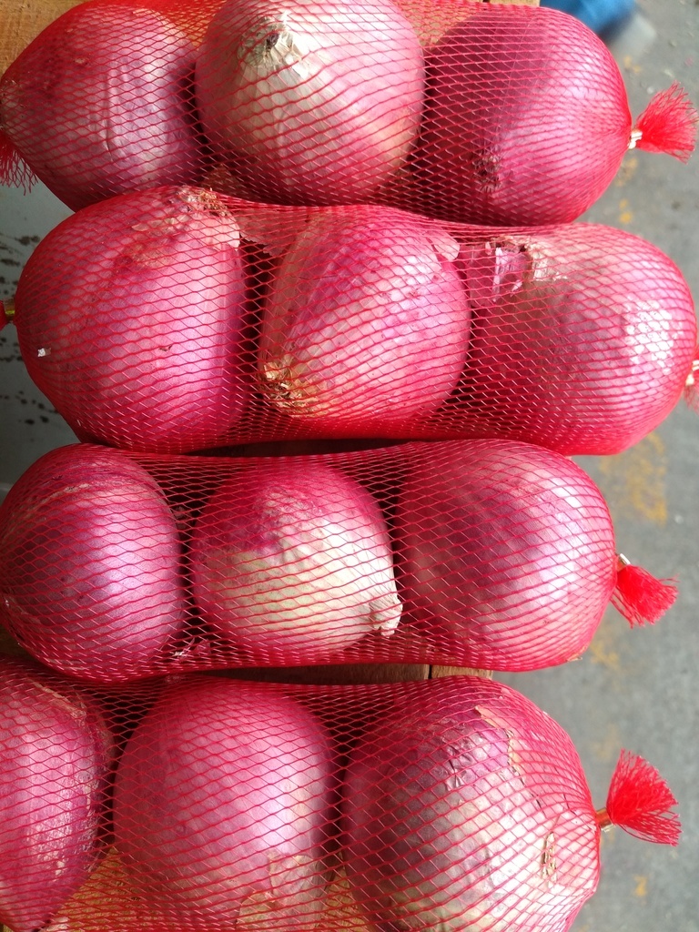 Cebolla roja