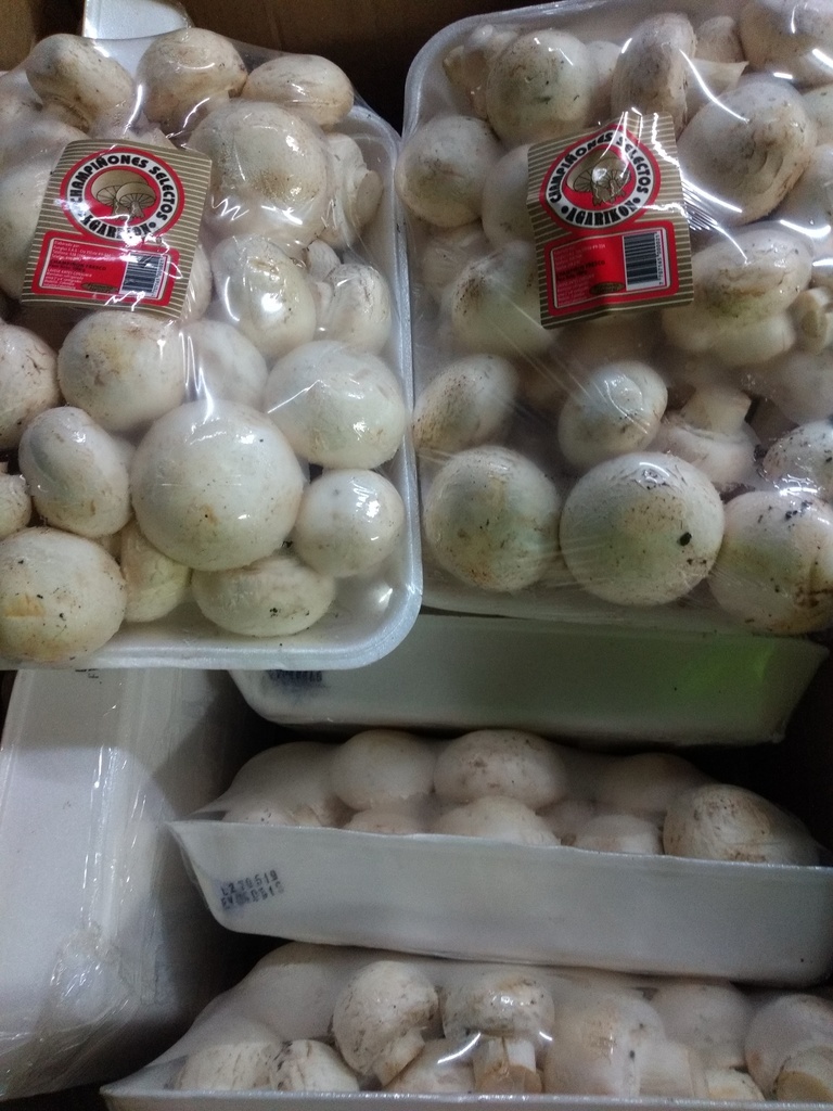 Champiñon x kilo