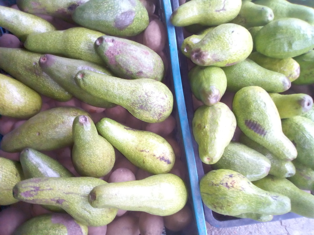 Aguacate