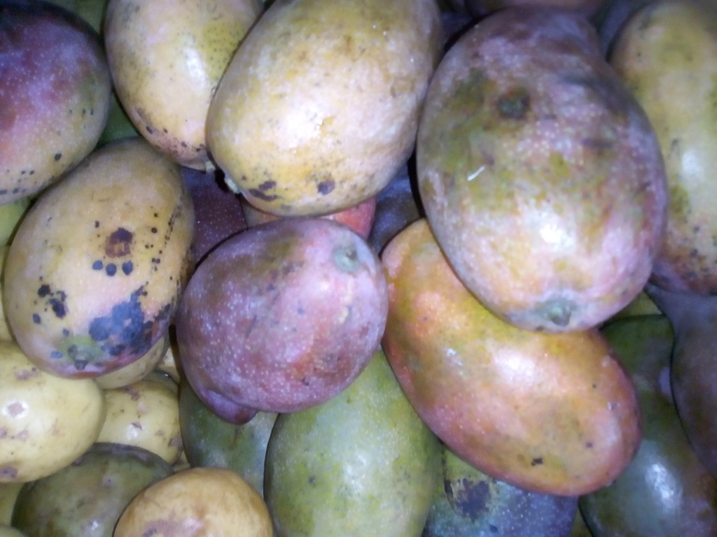 Mango de chupa