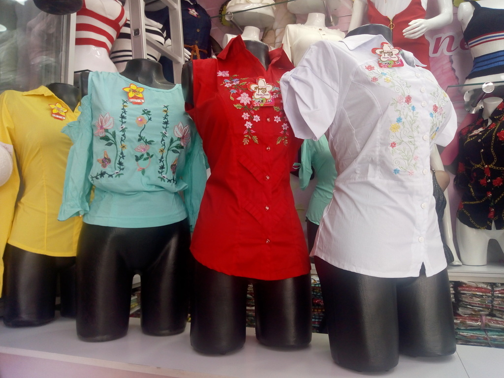 Blusas para dama bordadas