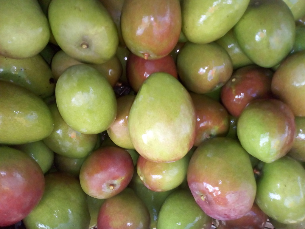 Mango manzana