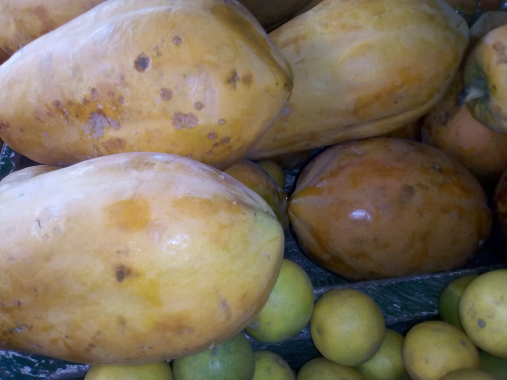 Papaya