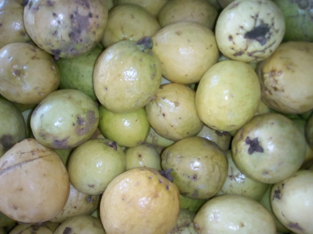 Guayaba dulce