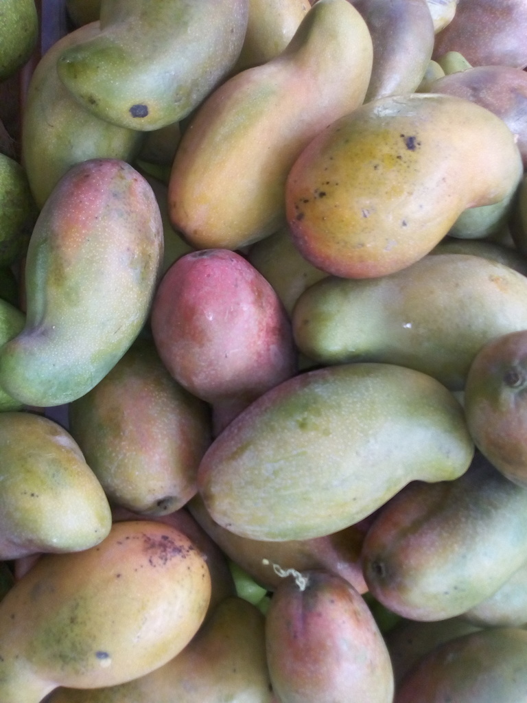 Mango de chupa