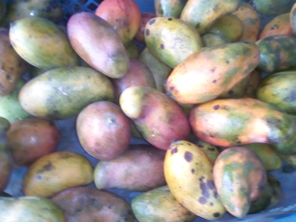Mango de chupa