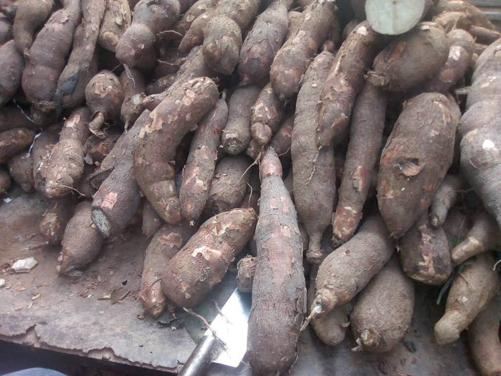 Yuca x bulto