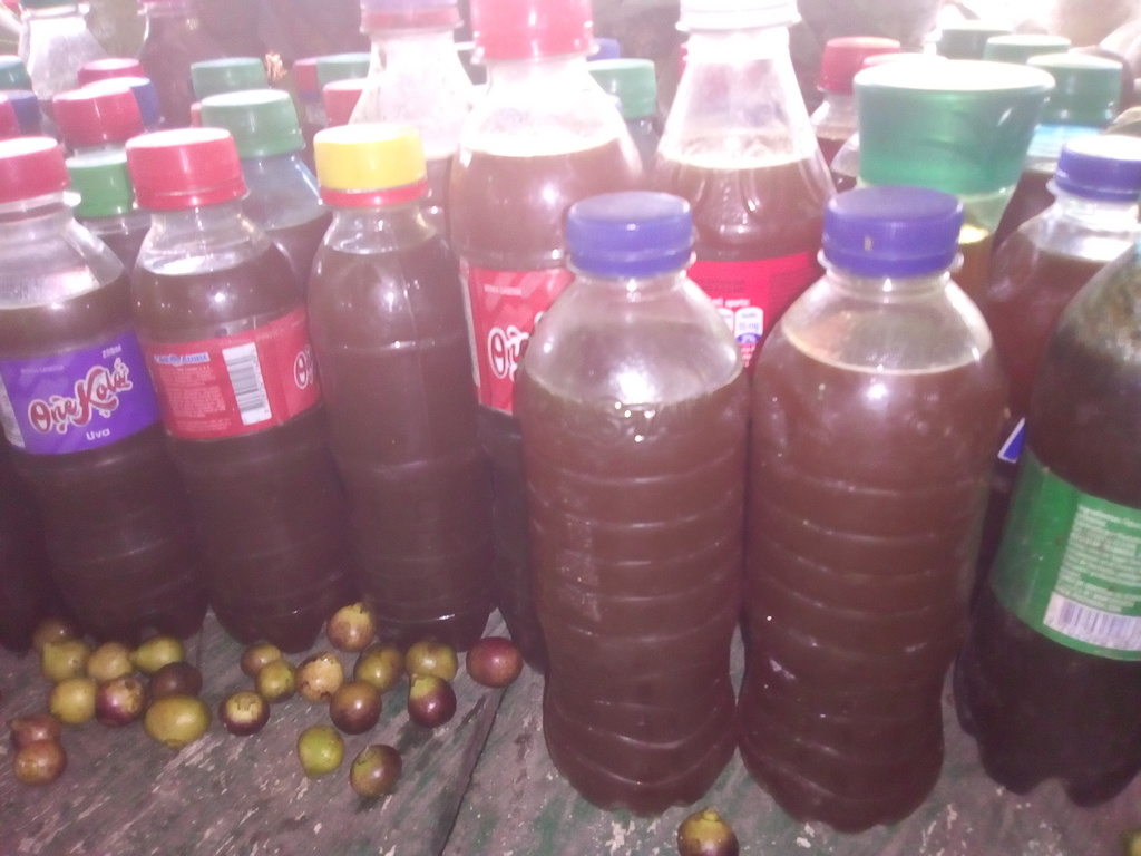 Miel de abejas