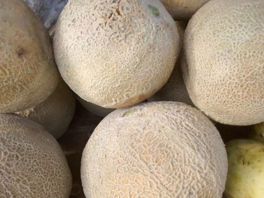 Melón