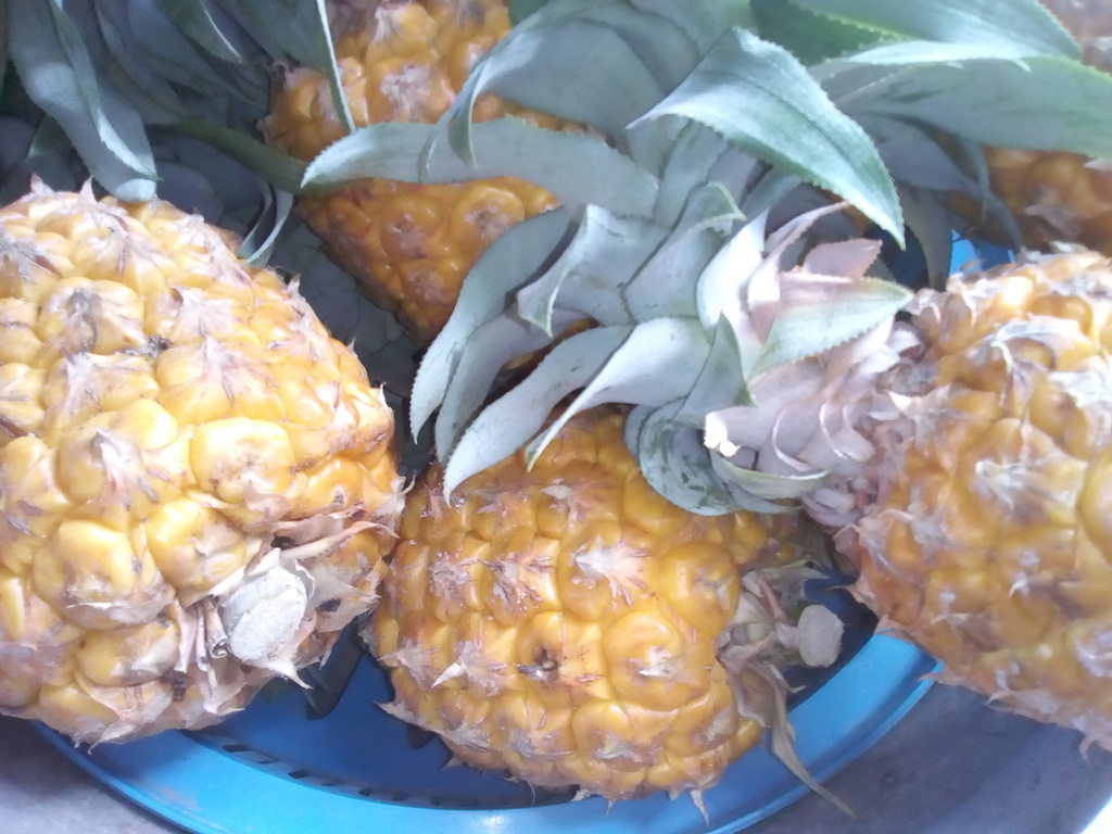 Piña