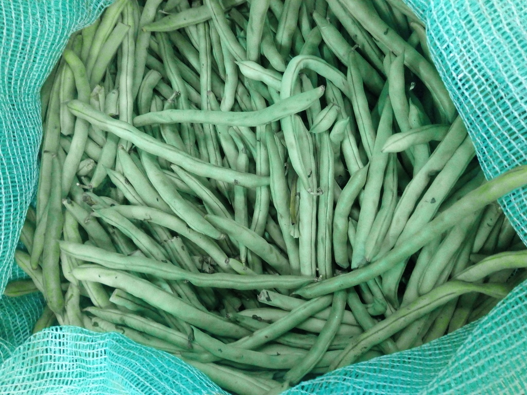 Habichuelas