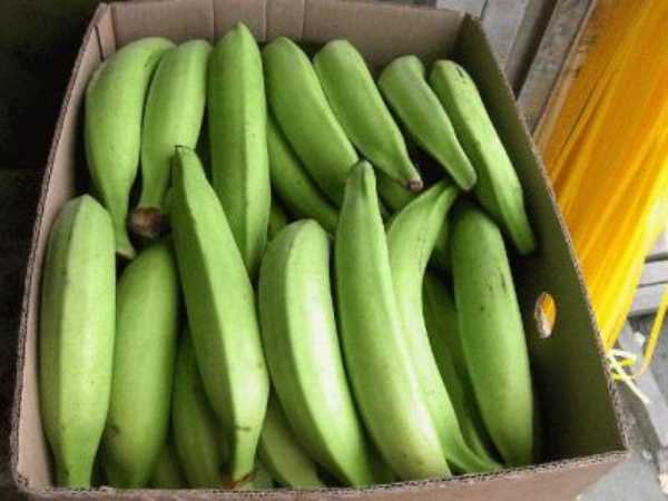 Platano verde