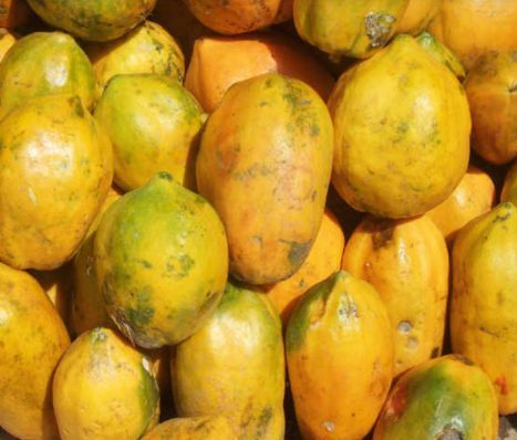 Papaya